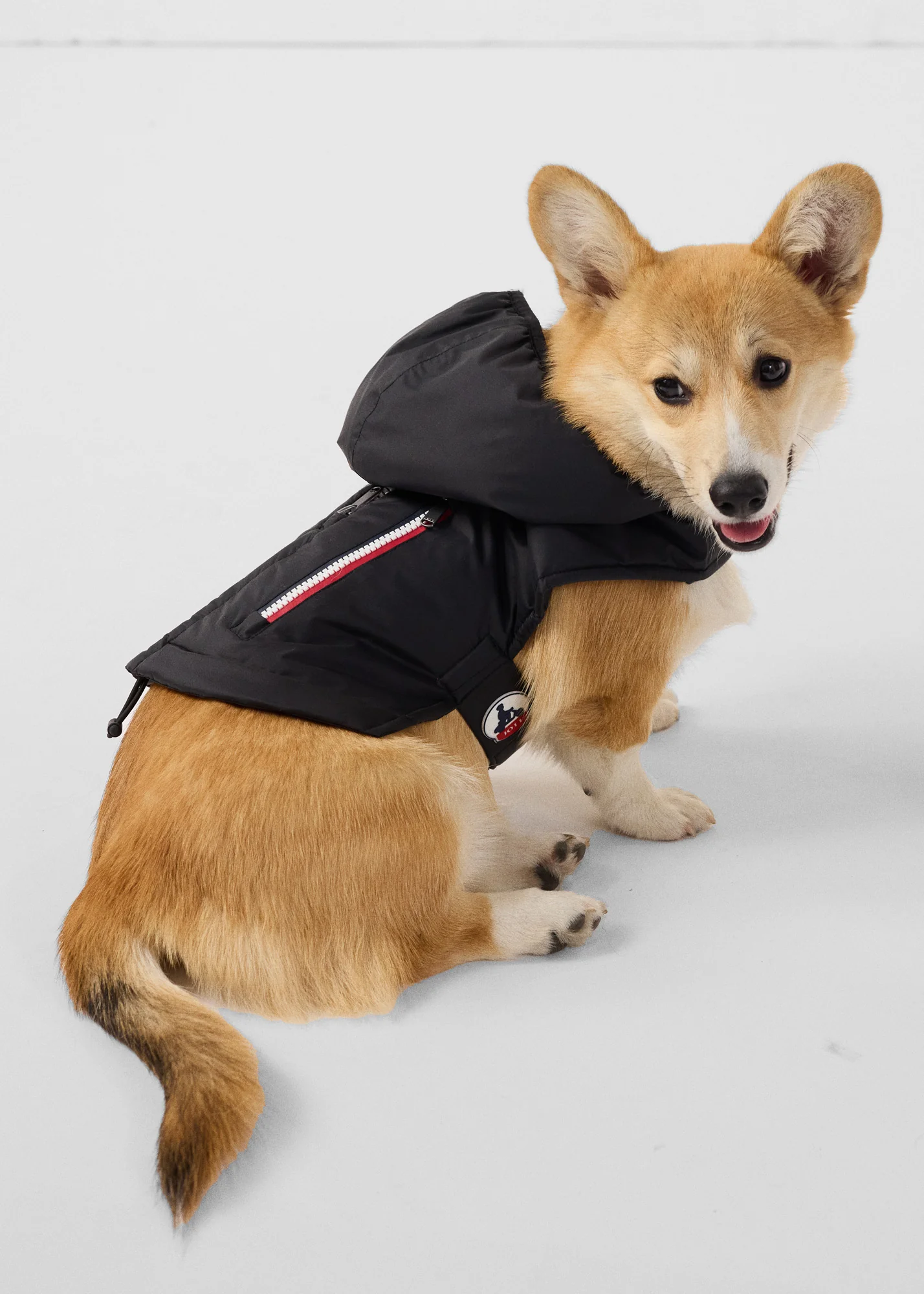 Imperméable pour chien Noir Balto - Image 2
