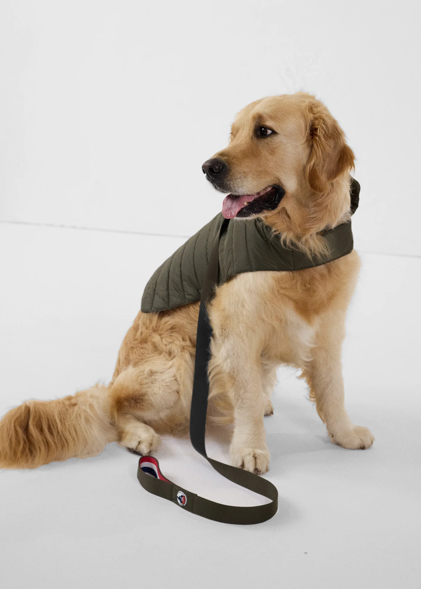 Laisse pour chien Army Max - Image 3
